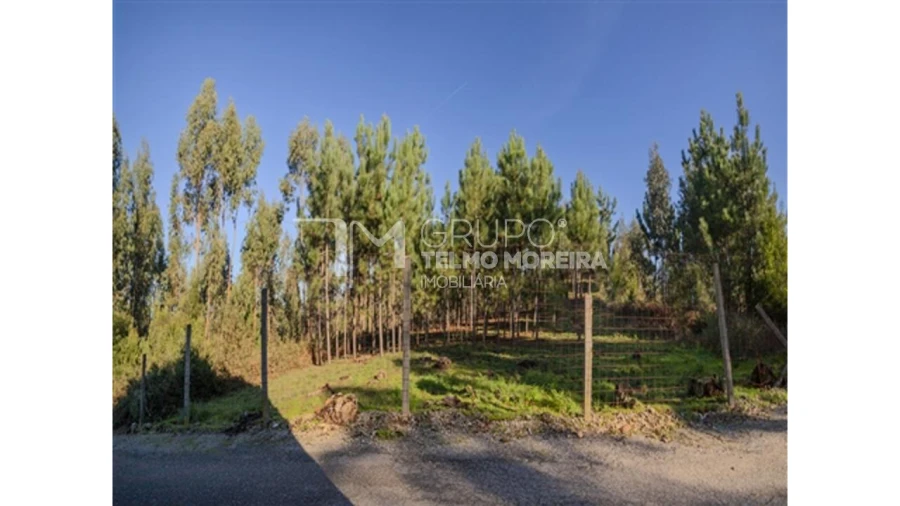 Terreno para Venda em Pedroso e Seixezelo Foto 5