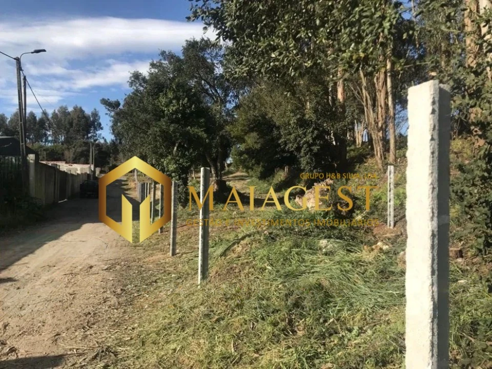 Terreno para Venda em São Felix da Marinha Foto 6