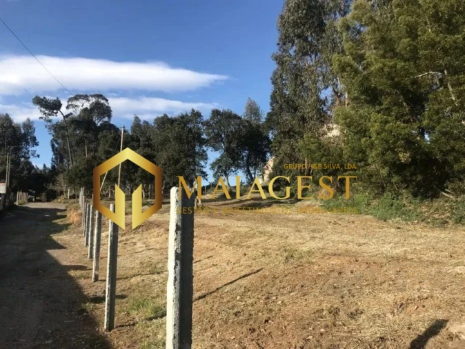 Terreno para Venda em São Felix da Marinha Foto 1