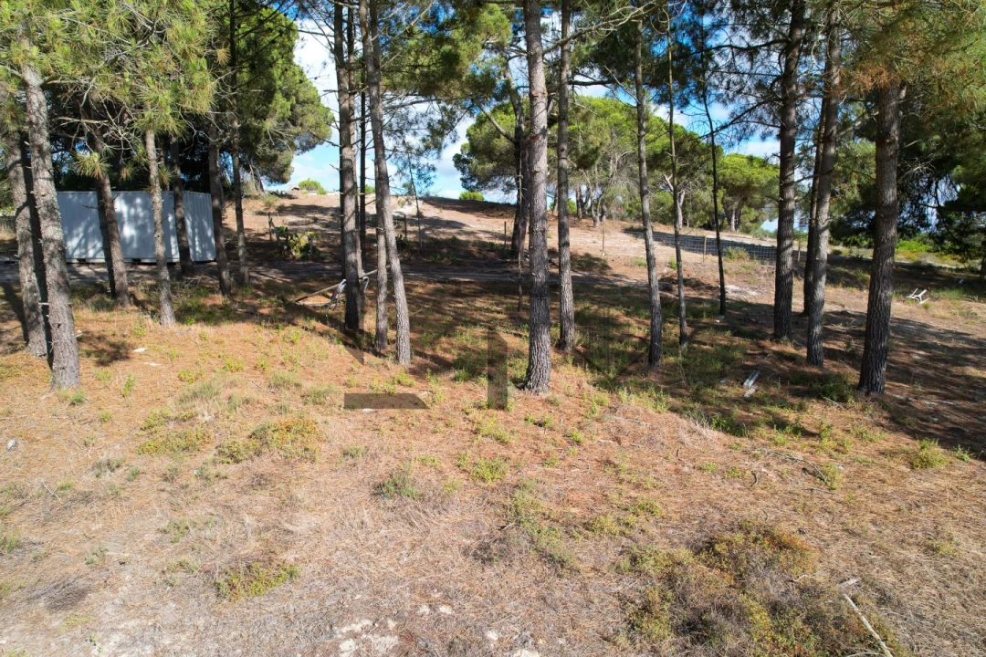 Moradia T3 para Venda em Melides Foto 13