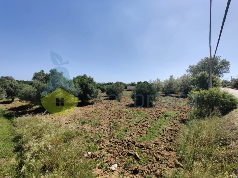 Terreno para Venda em Algoz e Tunes Foto 5