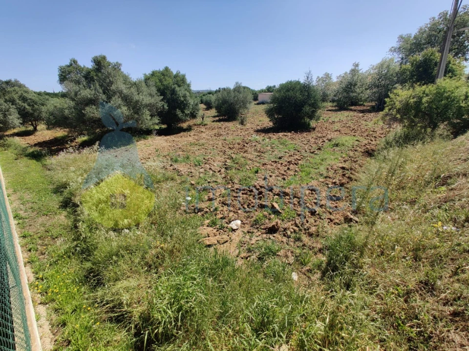 Terreno para Venda em Algoz e Tunes Foto 6