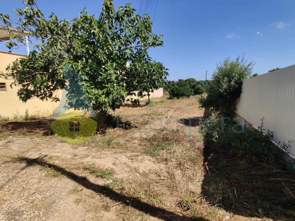 Terreno para Venda em Algoz e Tunes Foto 8