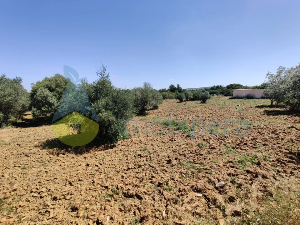 Terreno para Venda em Algoz e Tunes Foto 11