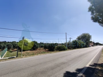 Terreno para Venda em Algoz e Tunes