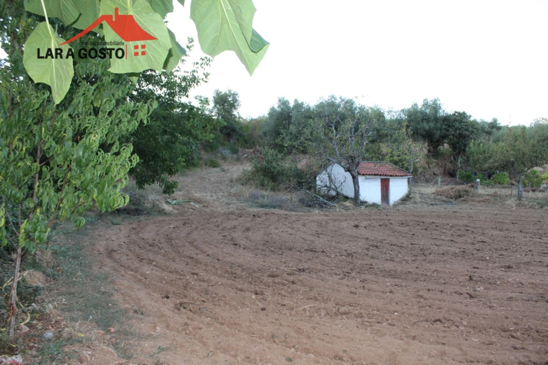 Moradia T4 para Venda em Salselas Foto 13