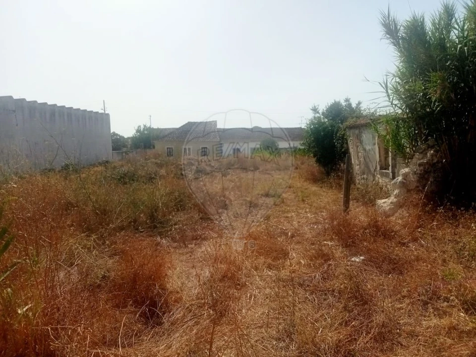 Terreno para Venda em Abitureiras Foto 4