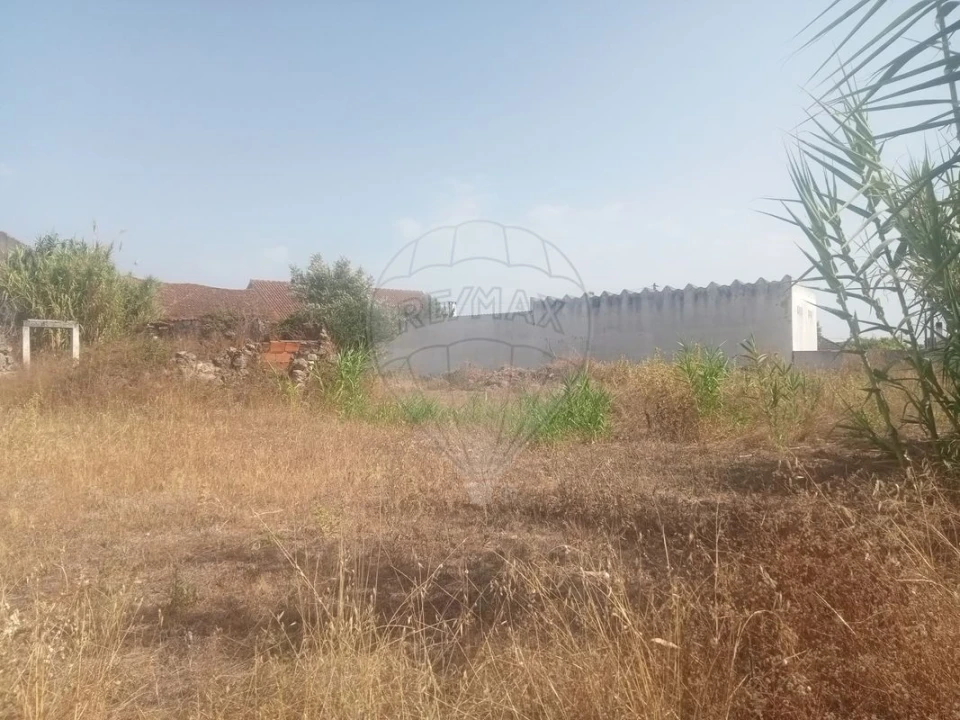 Terreno para Venda em Abitureiras Foto 3