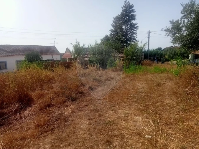 Terreno para Venda em Abitureiras Foto 9