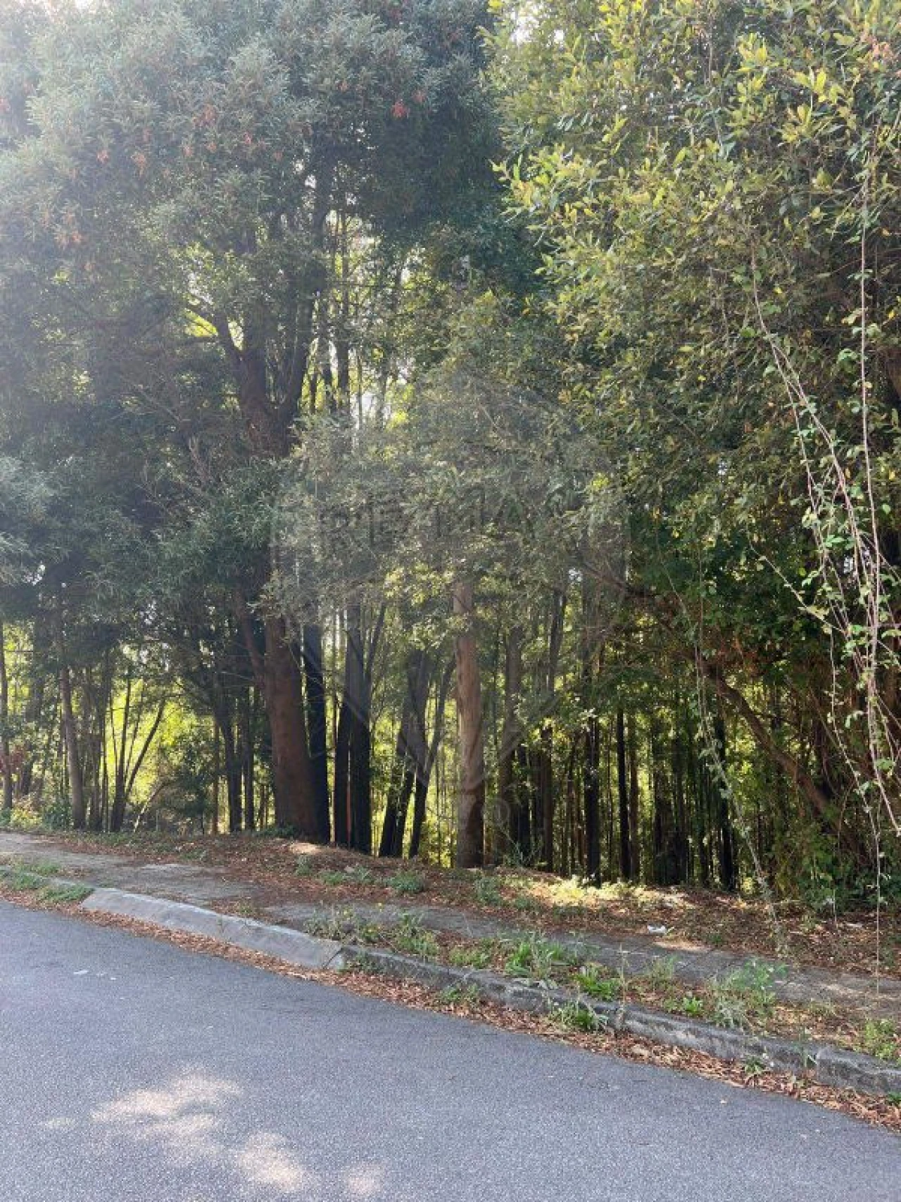 Terreno para Venda em Fânzeres e São Pedro da Cova Foto 4