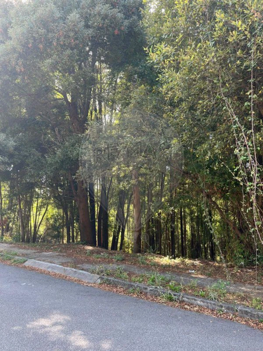 Terreno para Venda em Fânzeres e São Pedro da Cova Foto 4