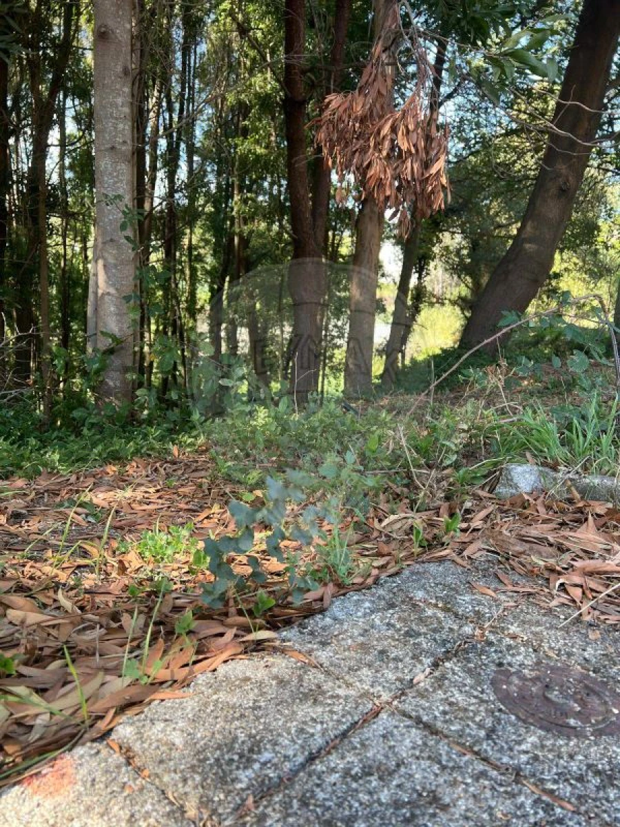 Terreno para Venda em Fânzeres e São Pedro da Cova Foto 3