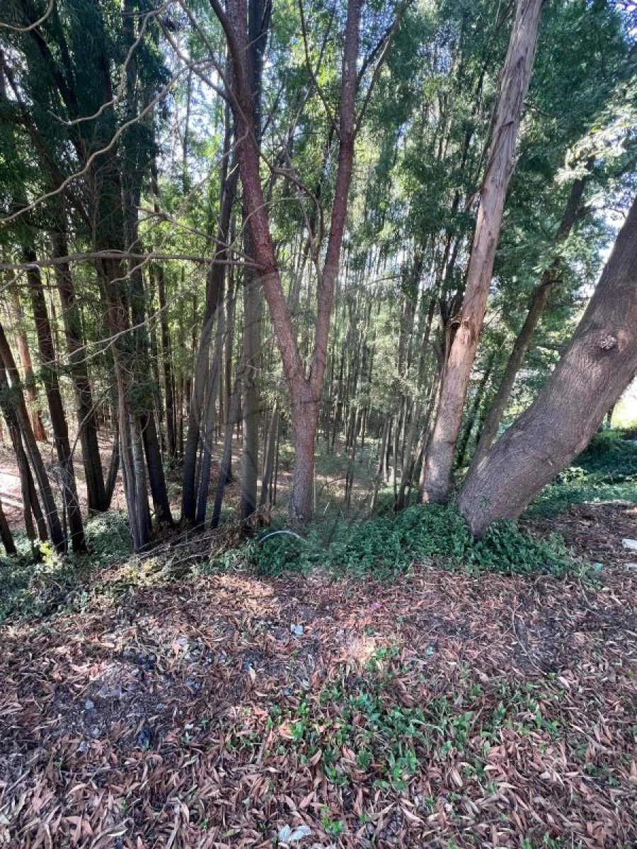 Terreno para Venda em Fânzeres e São Pedro da Cova Foto 5