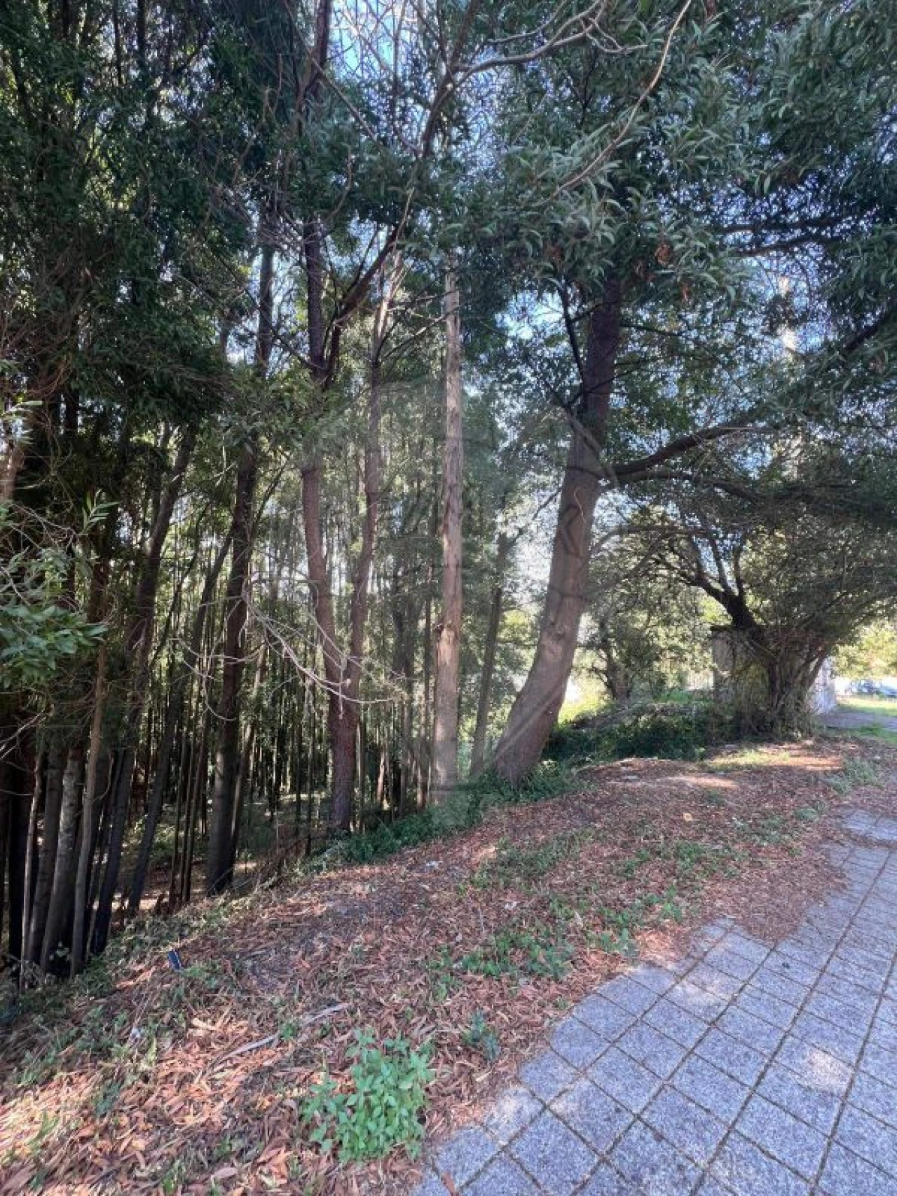 Terreno para Venda em Fânzeres e São Pedro da Cova Foto 1