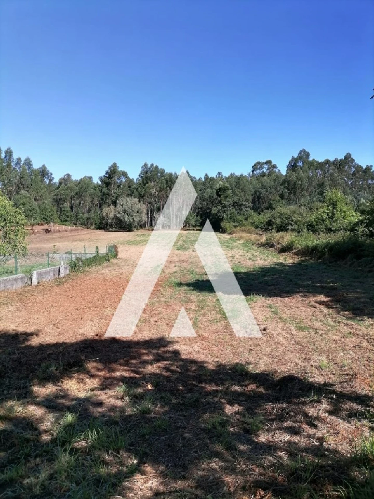 Terreno Misto para Venda em Nogueira, Meixedo e Vilar de Murteda Foto 2