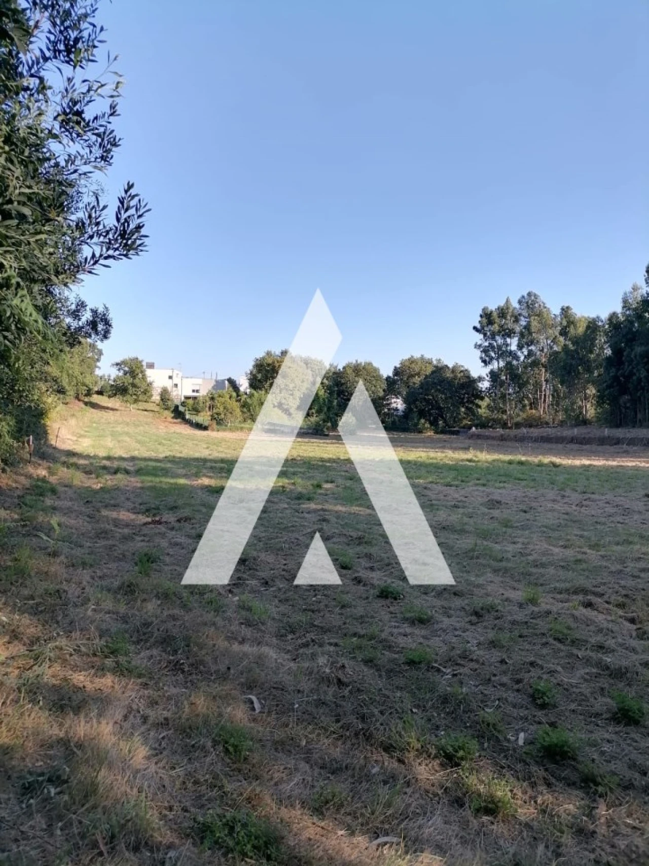 Terreno Misto para Venda em Nogueira, Meixedo e Vilar de Murteda Foto 3