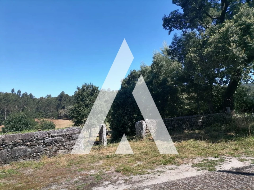 Terreno Misto para Venda em Nogueira, Meixedo e Vilar de Murteda Foto 11