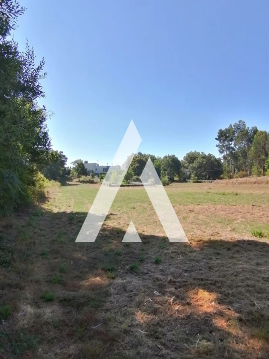 Terreno Misto para Venda em Nogueira, Meixedo e Vilar de Murteda Foto 4