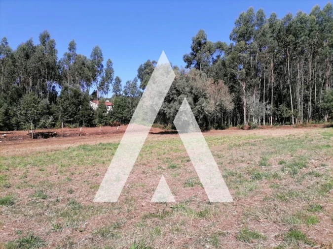 Terreno Misto para Venda em Nogueira, Meixedo e Vilar de Murteda Foto 6