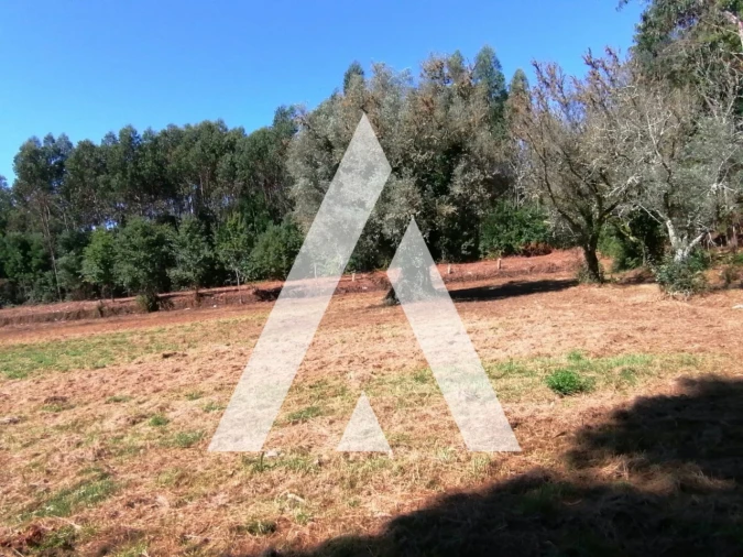 Terreno Misto para Venda em Nogueira, Meixedo e Vilar de Murteda Foto 7