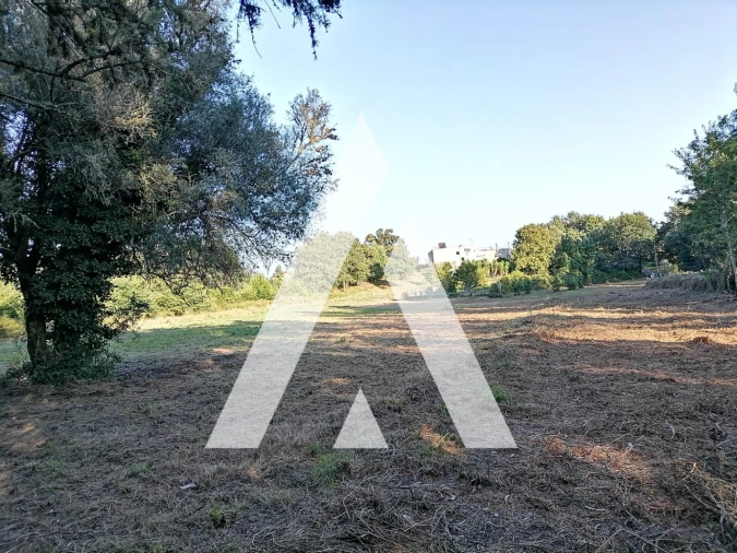 Terreno Misto para Venda em Nogueira, Meixedo e Vilar de Murteda Foto 9
