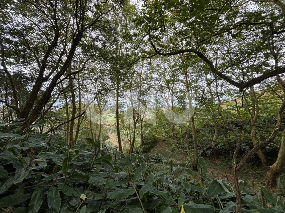 Terreno Agricola ou Rústico para Venda em Santa Barbara Foto 2