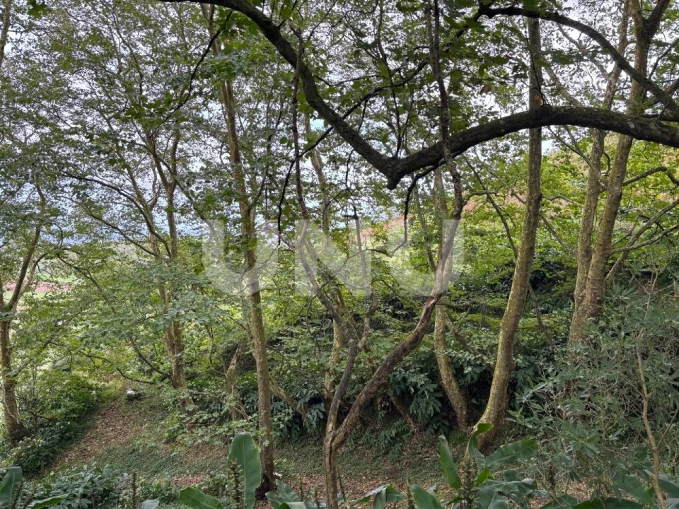 Terreno Agricola ou Rústico para Venda em Santa Barbara Foto 3