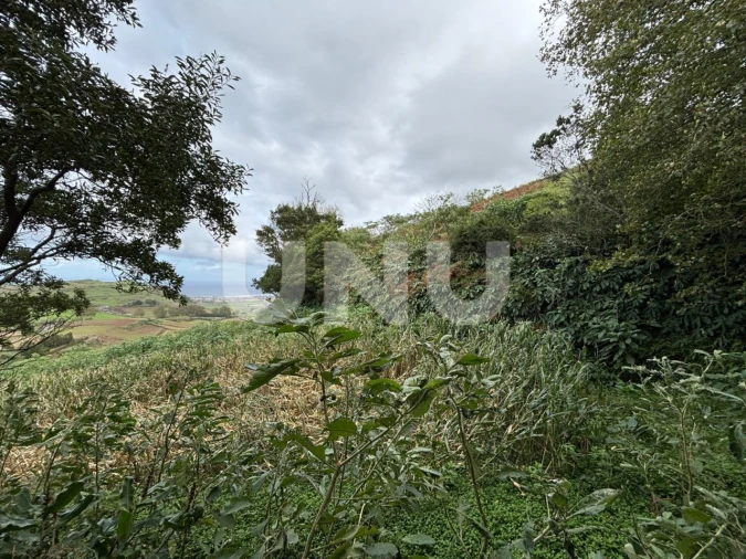 Terreno Agricola ou Rústico para Venda em Santa Barbara Foto 5