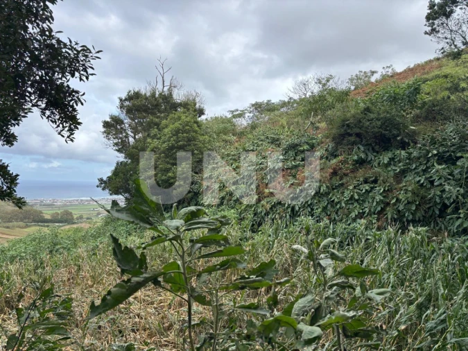 Terreno Agricola ou Rústico para Venda em Santa Barbara Foto 7