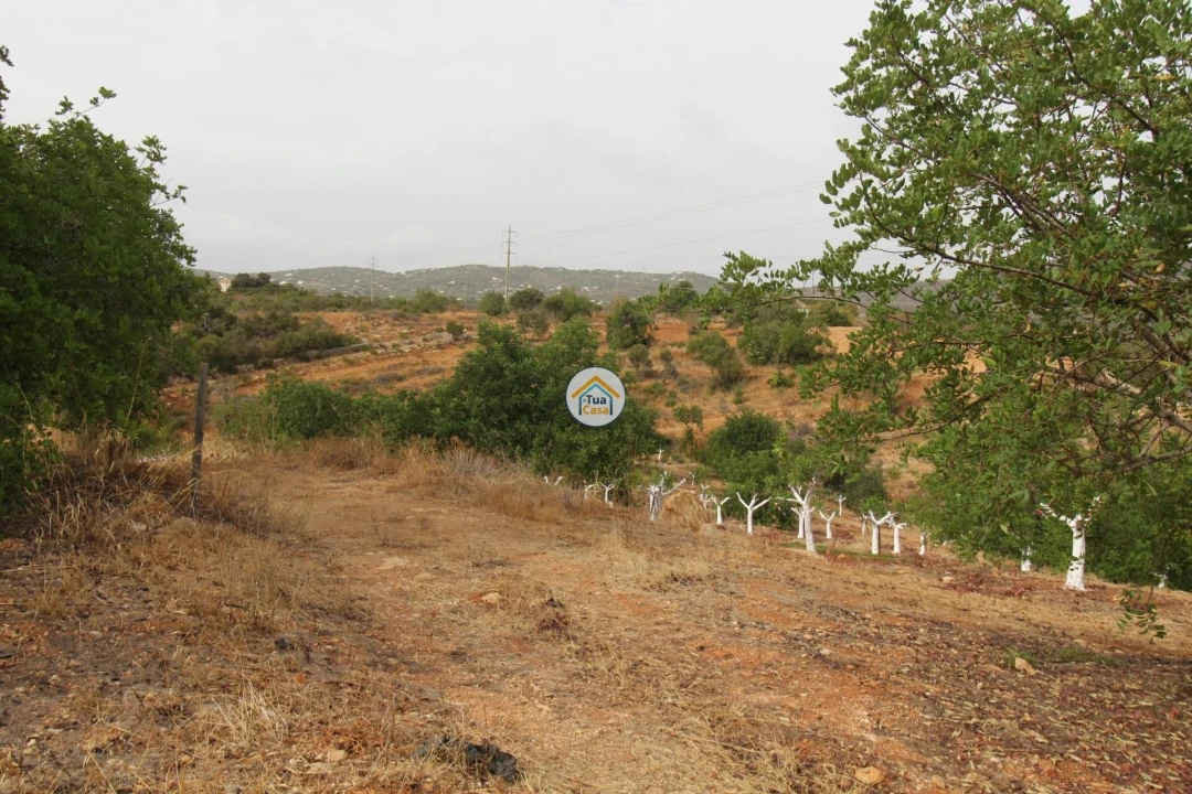 Terreno para Venda em Quelfes Foto 1