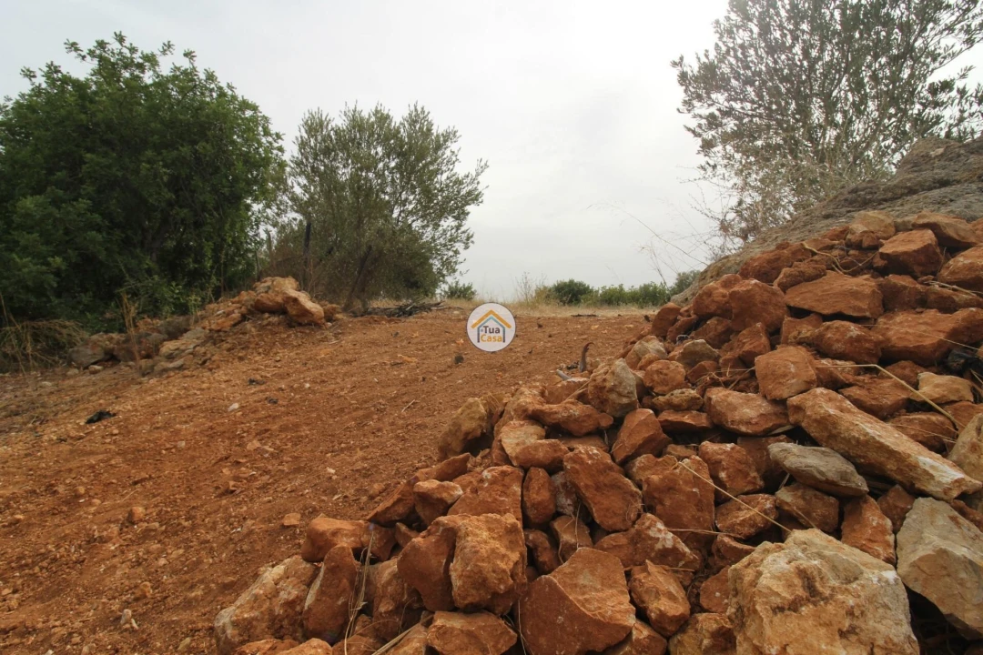 Terreno para Venda em Quelfes Foto 10