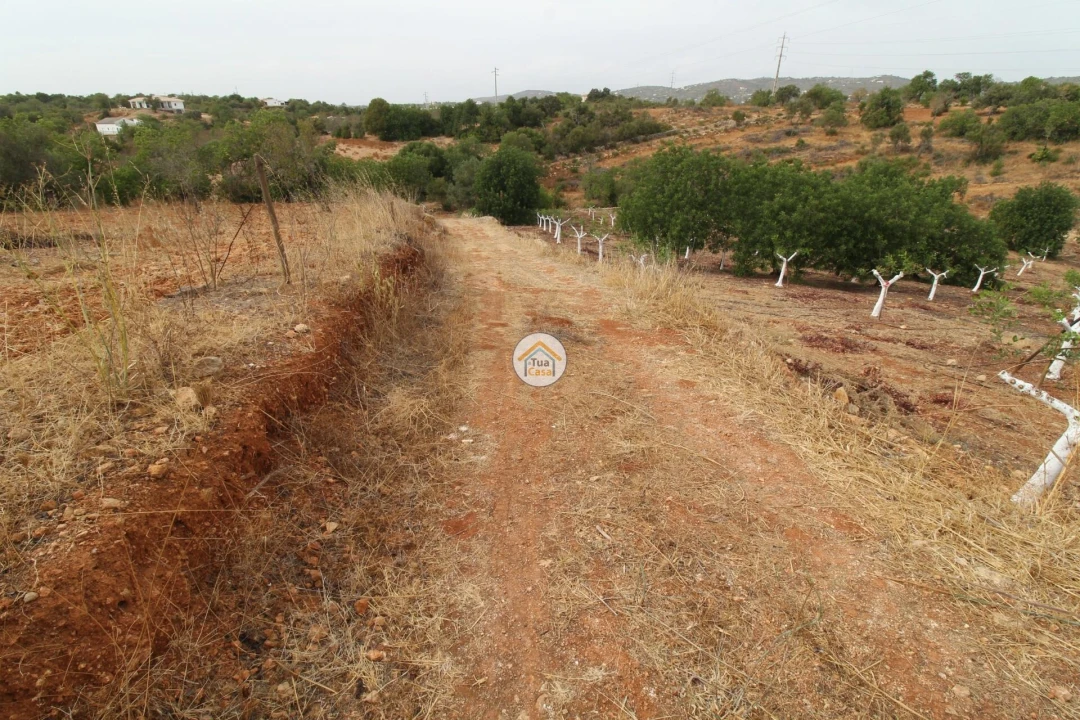 Terreno para Venda em Quelfes Foto 7