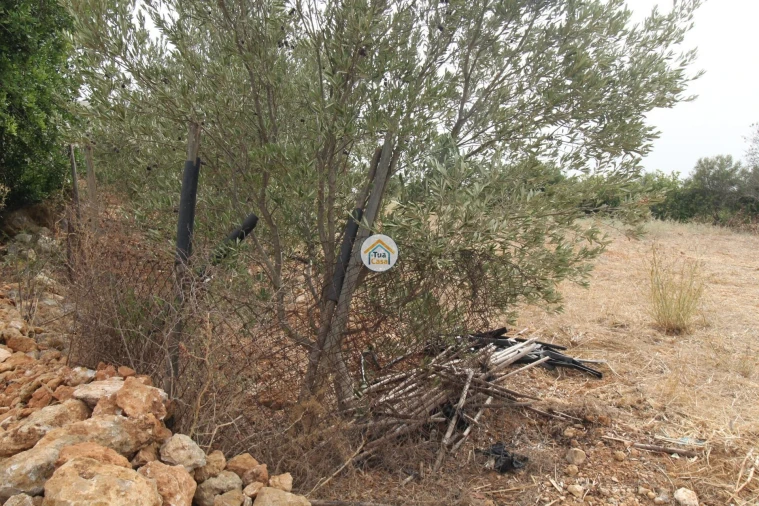 Terreno para Venda em Quelfes Foto 11