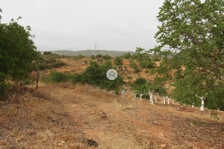Terreno para Venda em Quelfes Foto 1