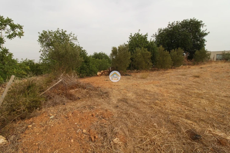 Terreno para Venda em Quelfes Foto 21