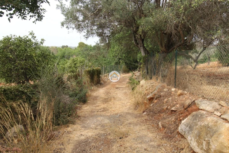 Terreno para Venda em Quelfes Foto 5
