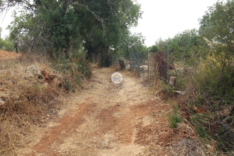 Terreno para Venda em Quelfes Foto 6