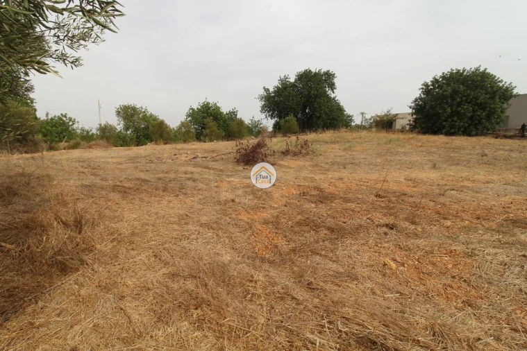 Terreno para Venda em Quelfes Foto 20