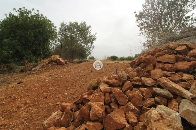 Terreno para Venda em Quelfes Foto 10