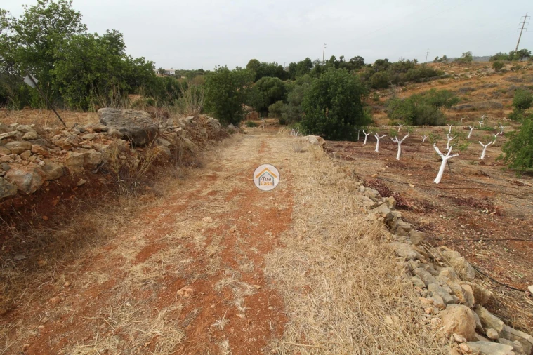 Terreno para Venda em Quelfes Foto 24