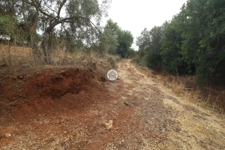 Terreno para Venda em Quelfes Foto 25
