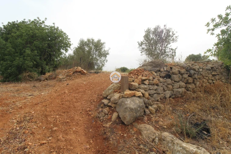 Terreno para Venda em Quelfes Foto 9