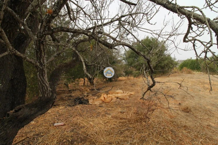 Terreno para Venda em Quelfes Foto 17