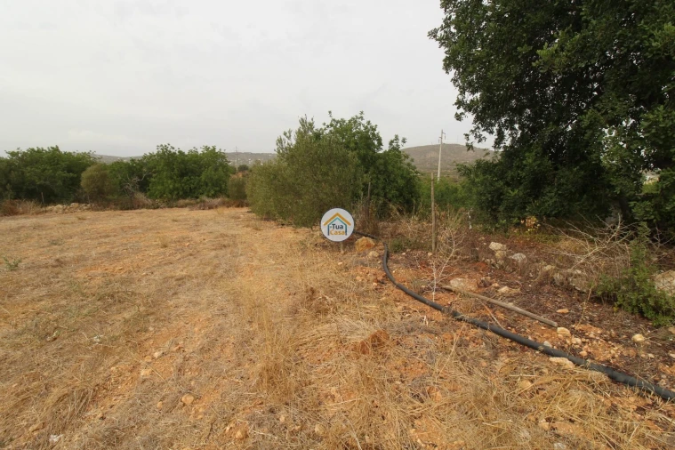 Terreno para Venda em Quelfes Foto 13