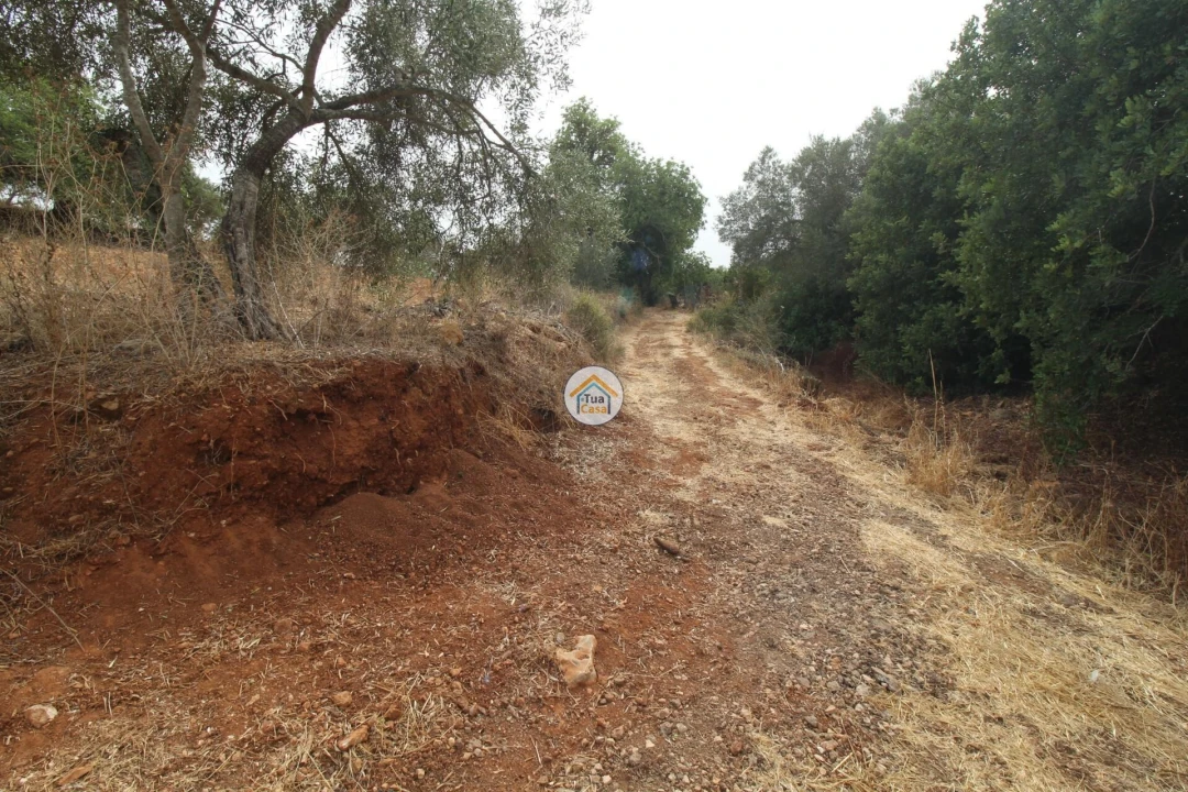 Terreno para Venda em Quelfes Foto 25