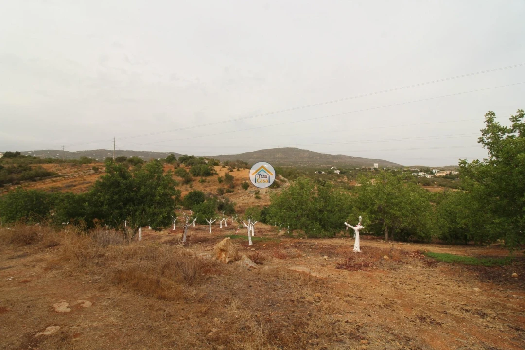 Terreno para Venda em Quelfes Foto 22