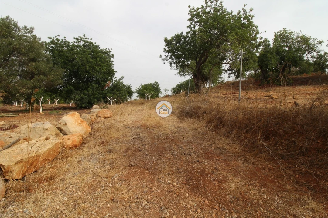 Terreno para Venda em Quelfes Foto 26