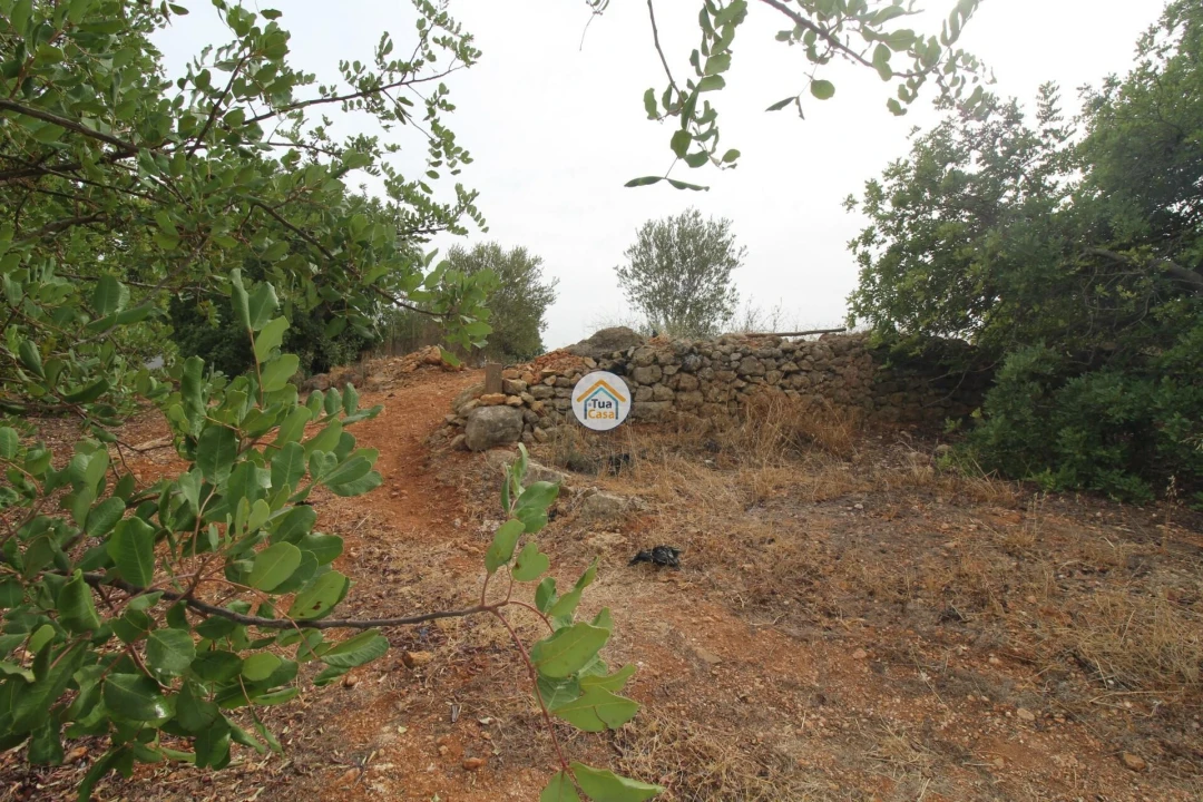 Terreno para Venda em Quelfes Foto 23
