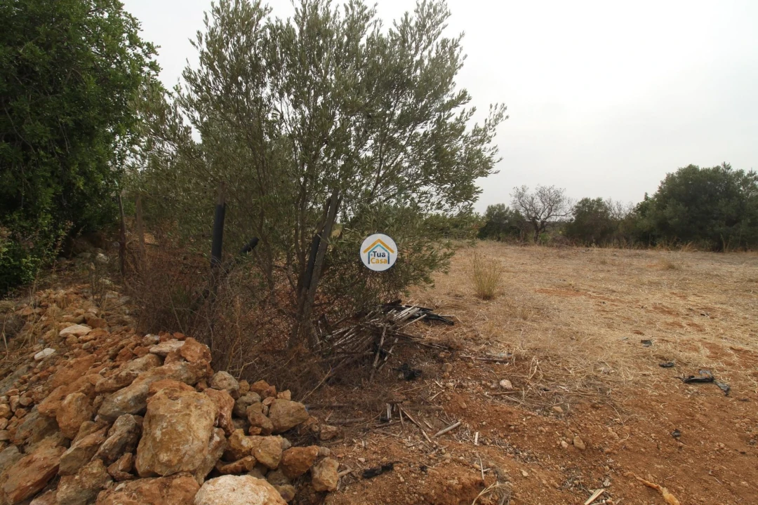 Terreno para Venda em Quelfes Foto 12
