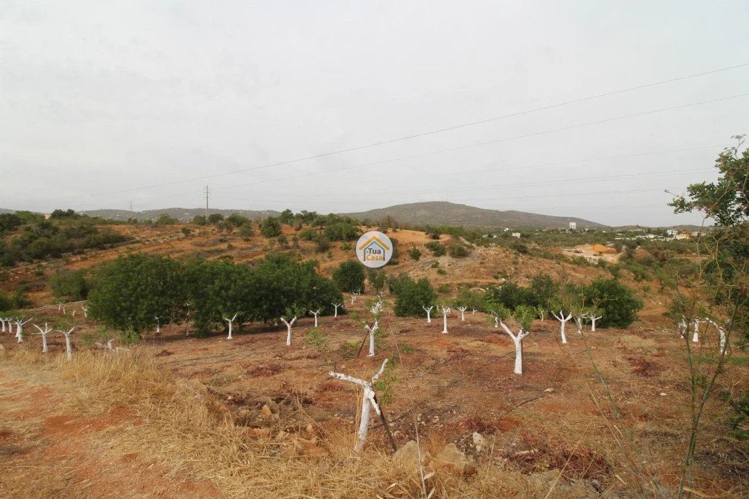 Terreno para Venda em Quelfes Foto 8